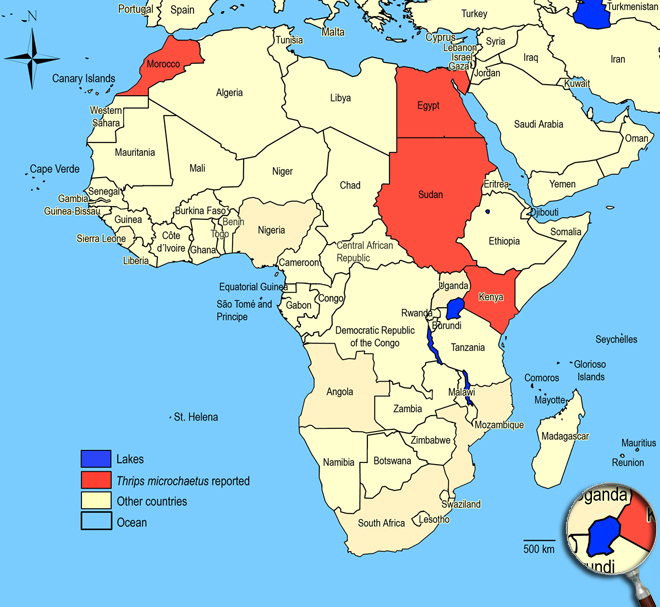 Distibution Map Africa